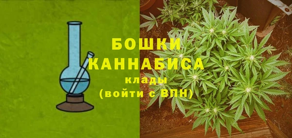 прущие крисы Карпинск