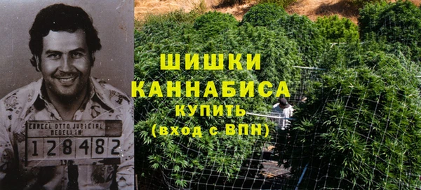 гидра Касимов