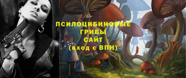 гидра Касимов